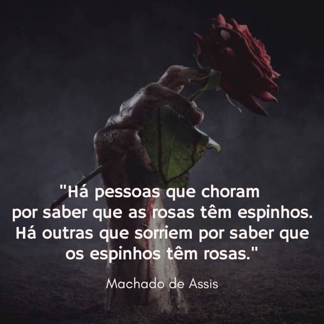 Social Pensamento do dia