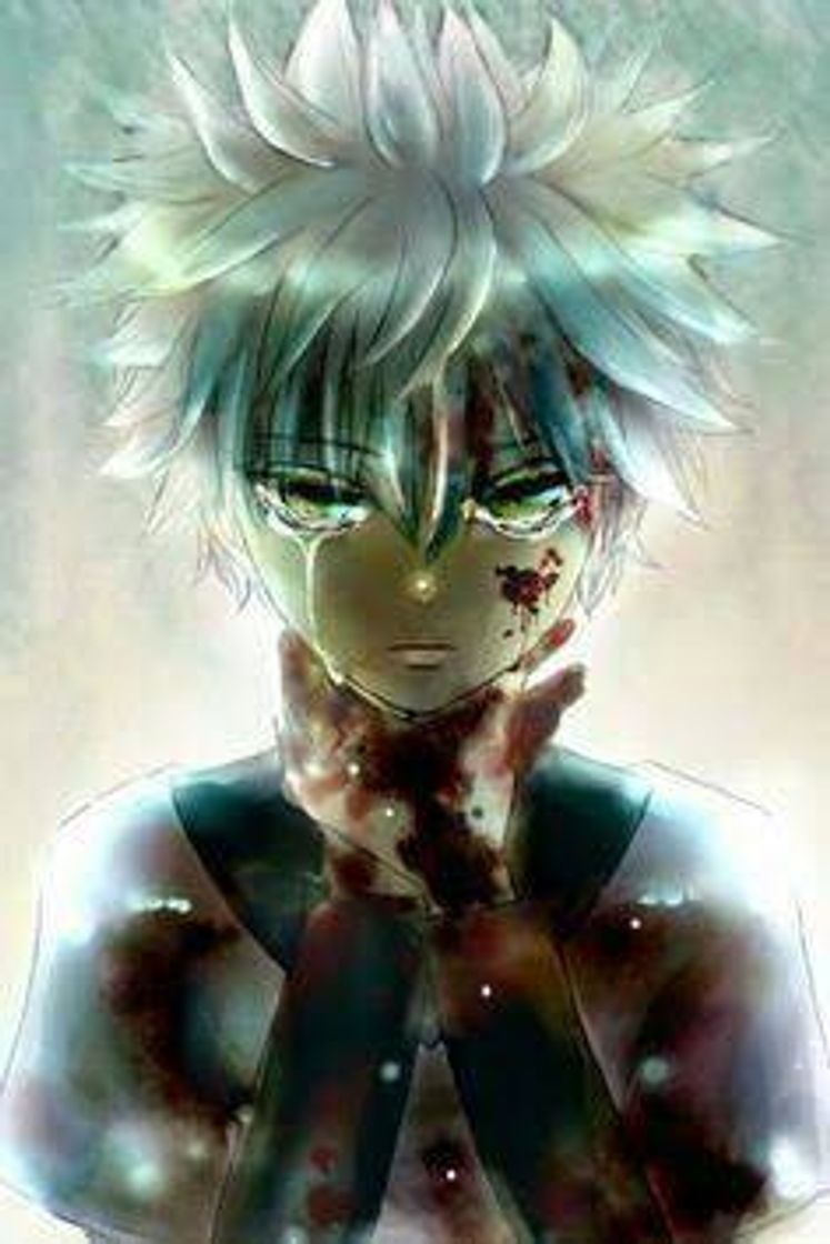 Serie Hunter × Hunter