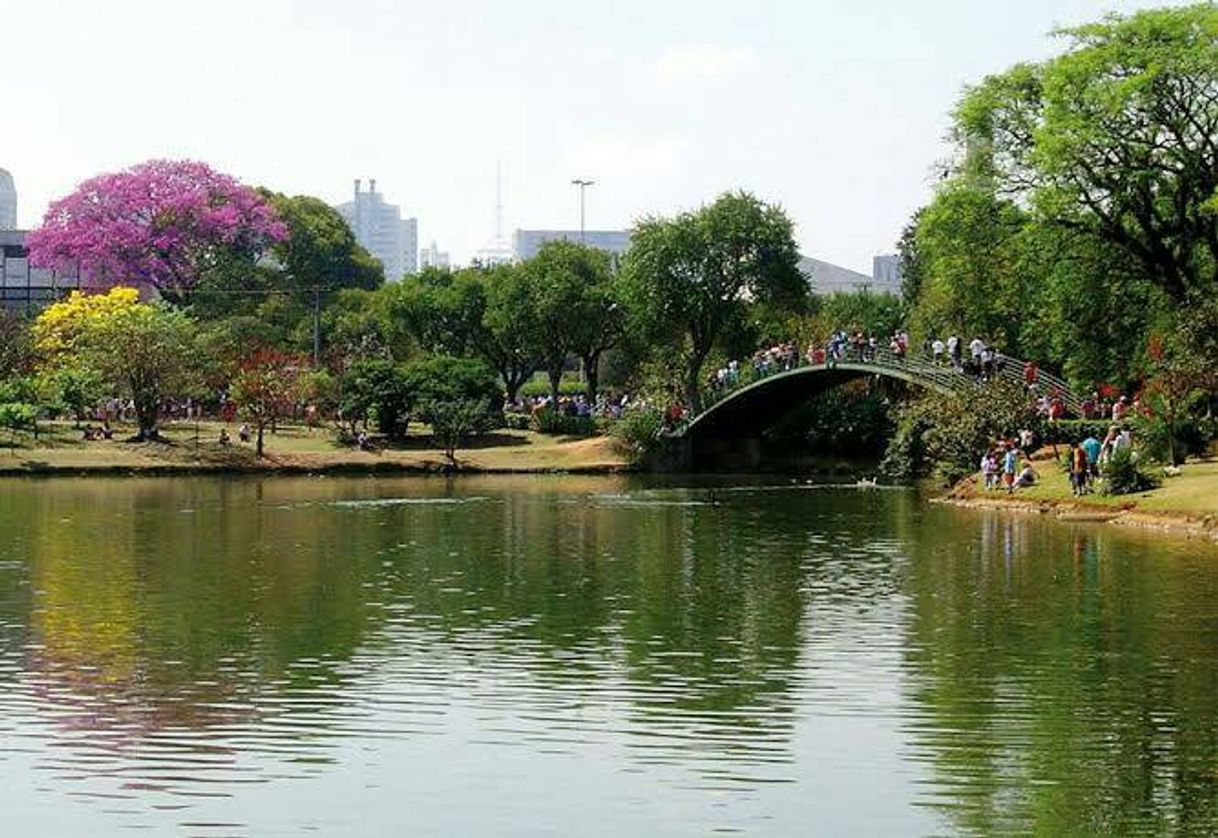 Place Parque Ibirapuera