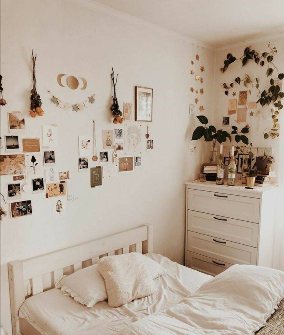 Social Quarto boho