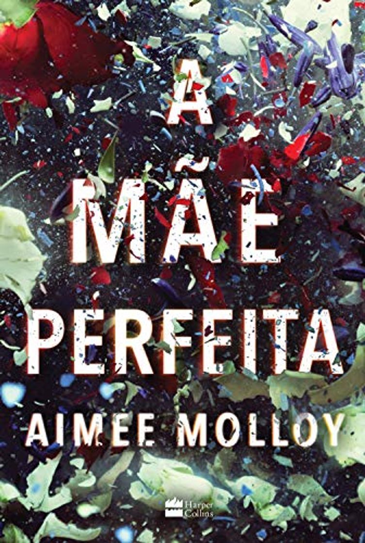 Libro A mãe perfeita