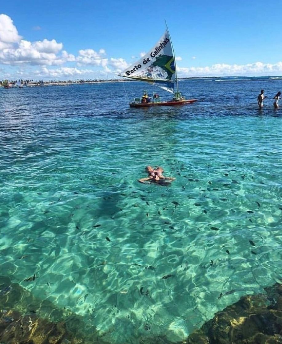 Lugar Porto de Galinhas