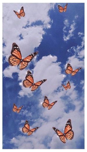 Wallpaper • Butterflies •