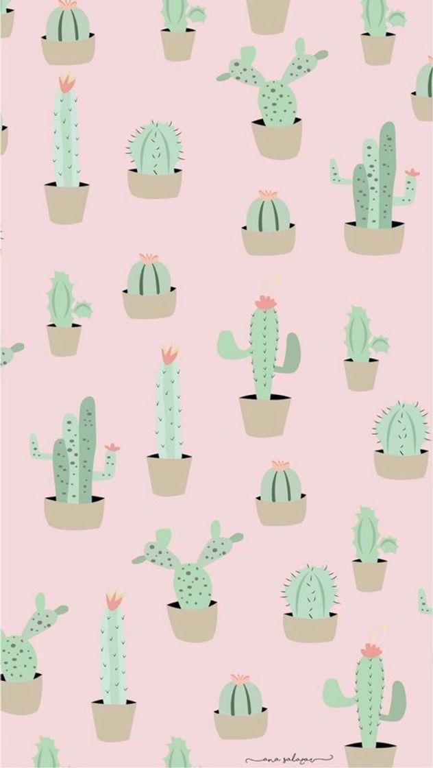 Fashion 🌵✨