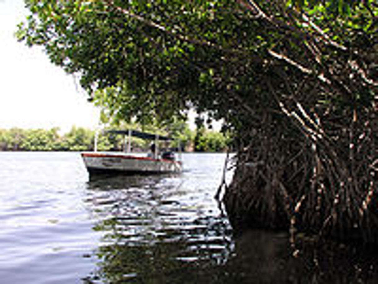 Place Parque nacional Laguna de La Restinga