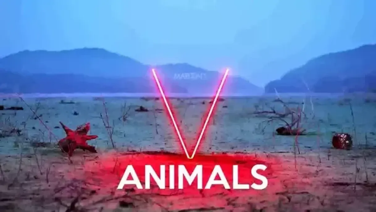 Canción Animals