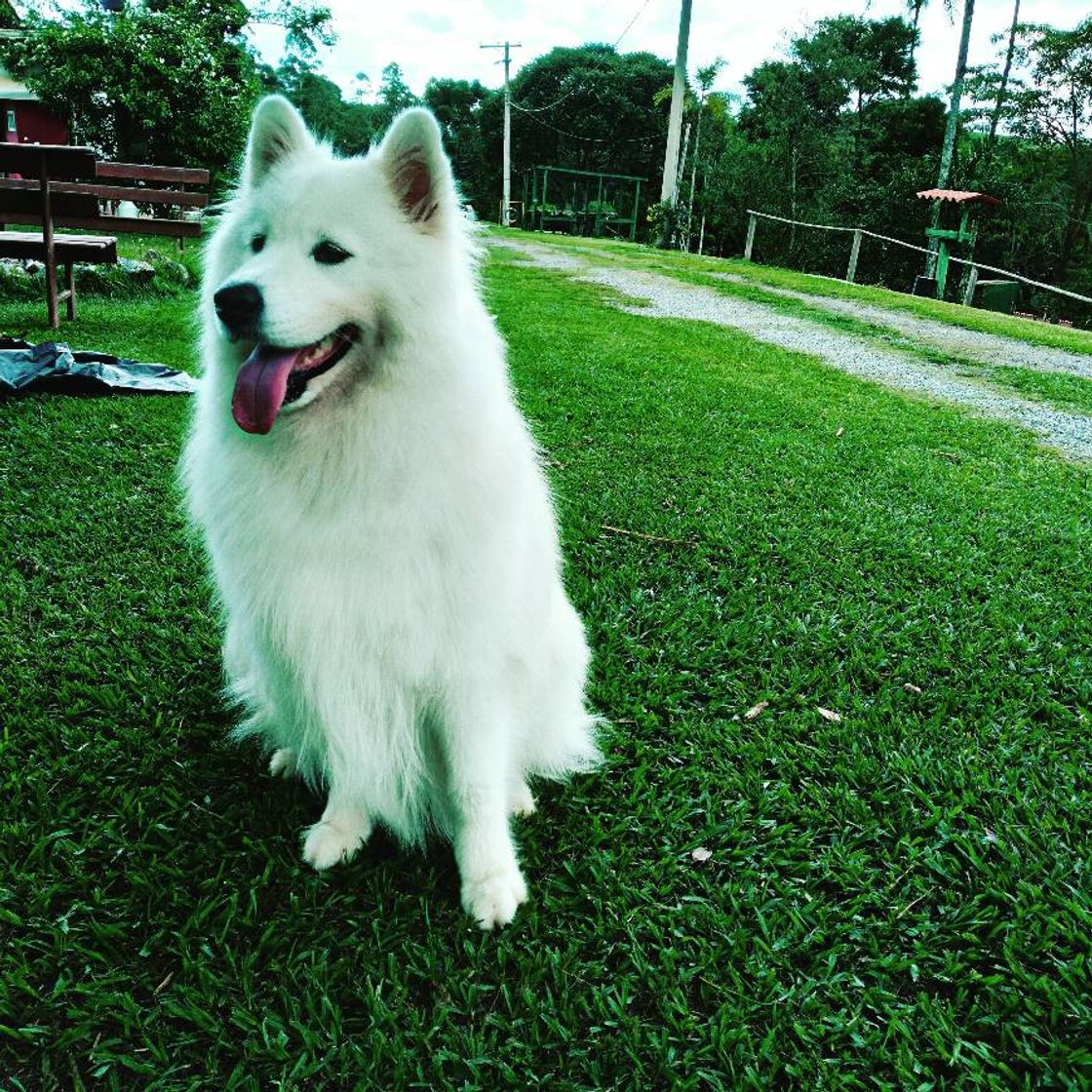 Lugar Pousada Gaia Viva