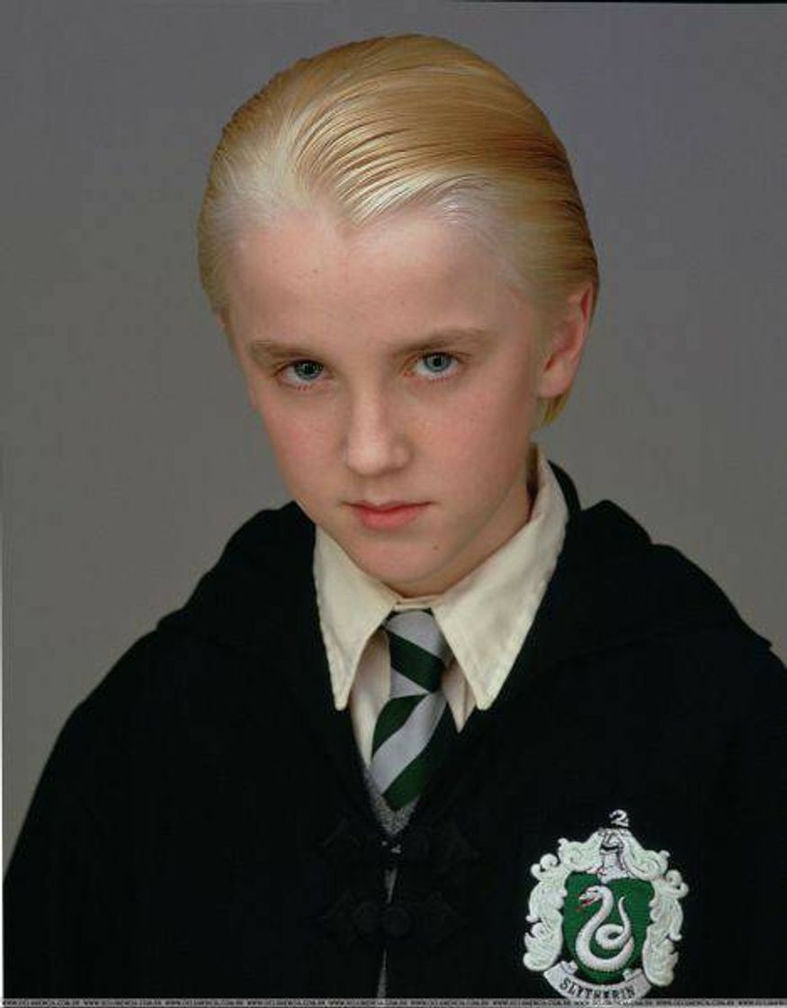 Moda Pequeno Draco Malfoy