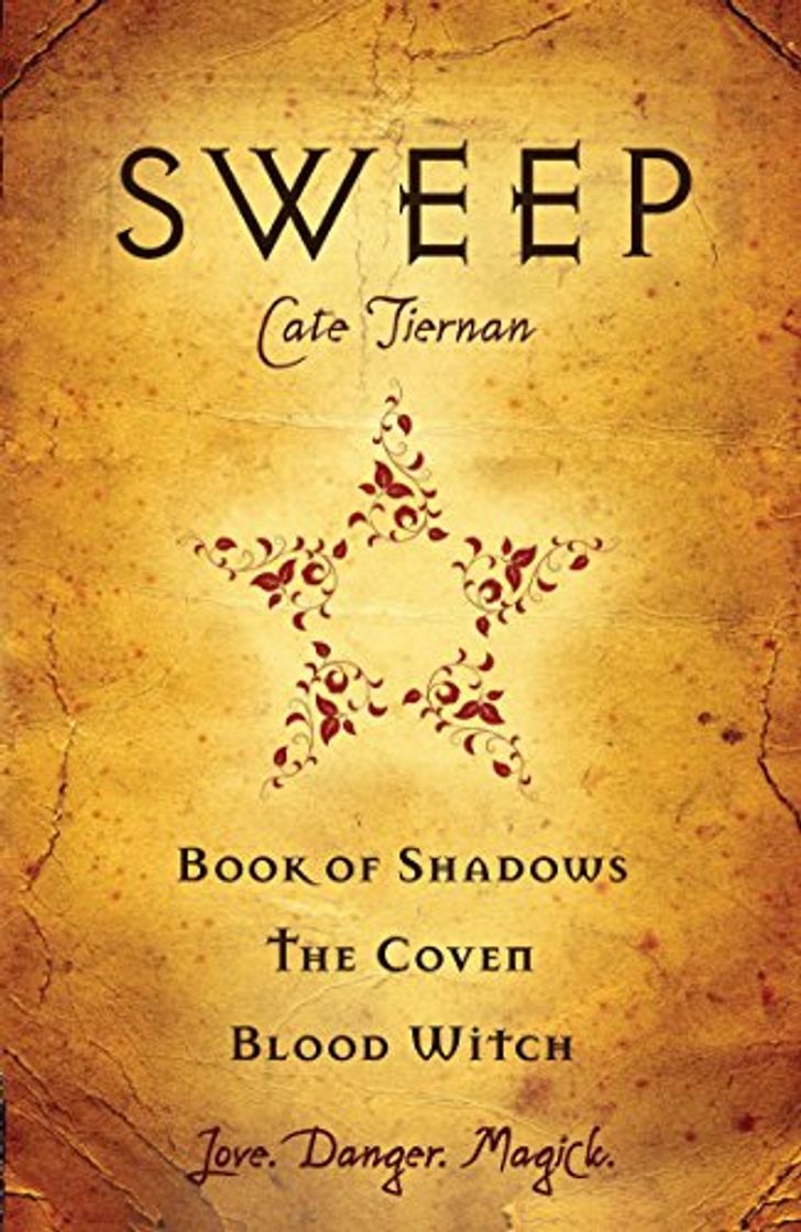 Libros Sweep: Book of Shadows, the Coven, and Blood Witch: Volume 1