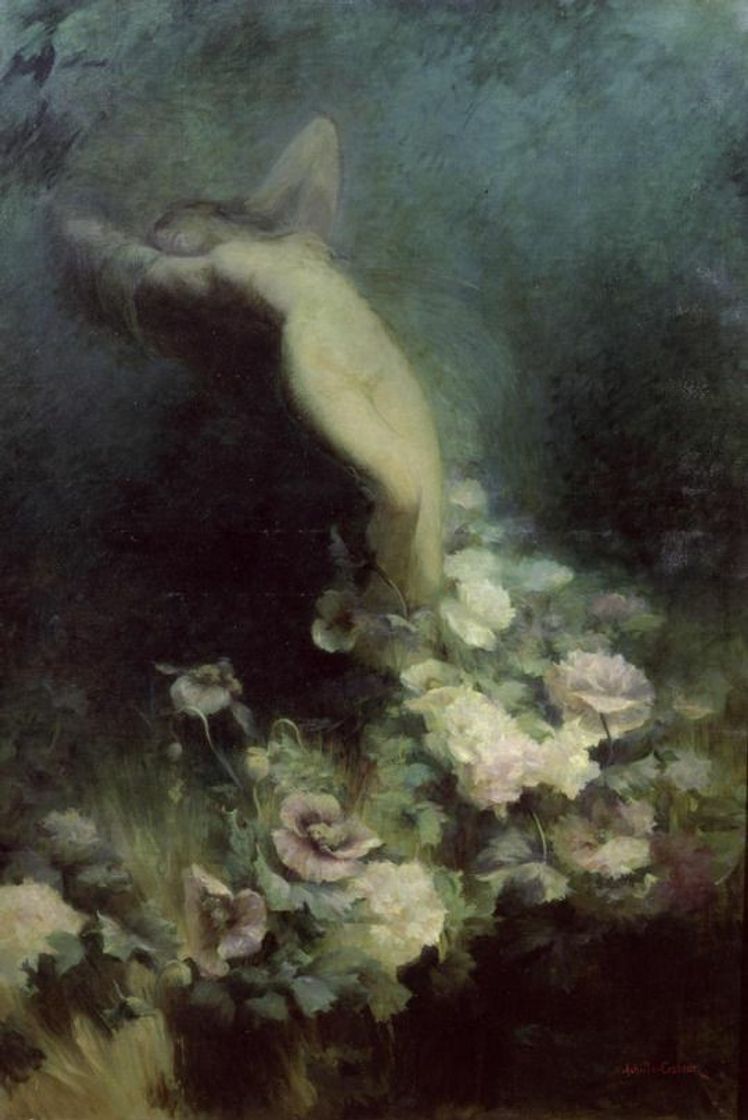 Social Aphrodite