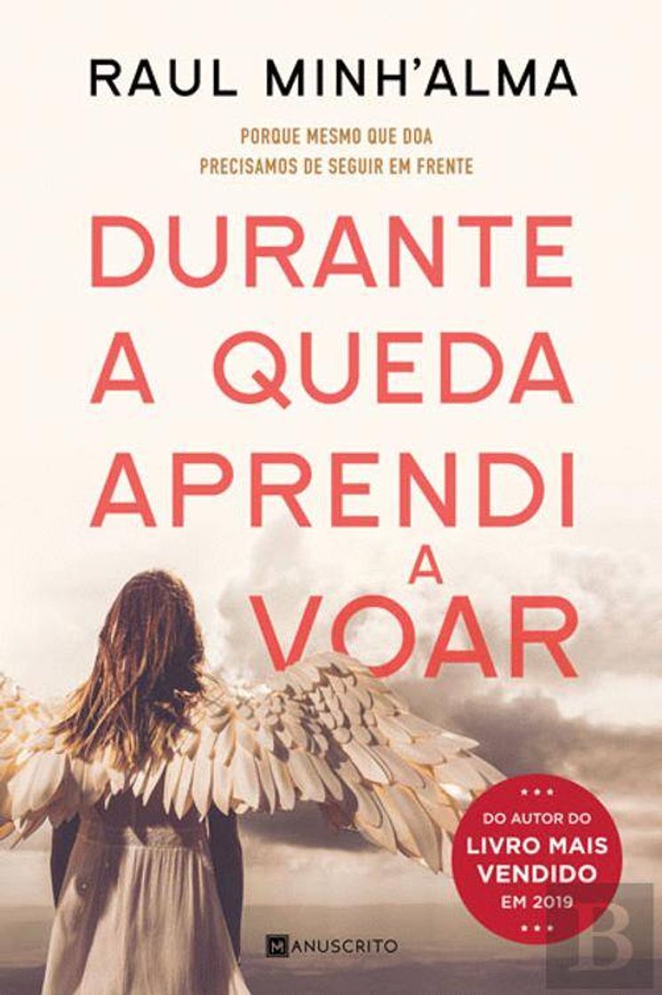 Book Durante a Queda Aprendi a Voar