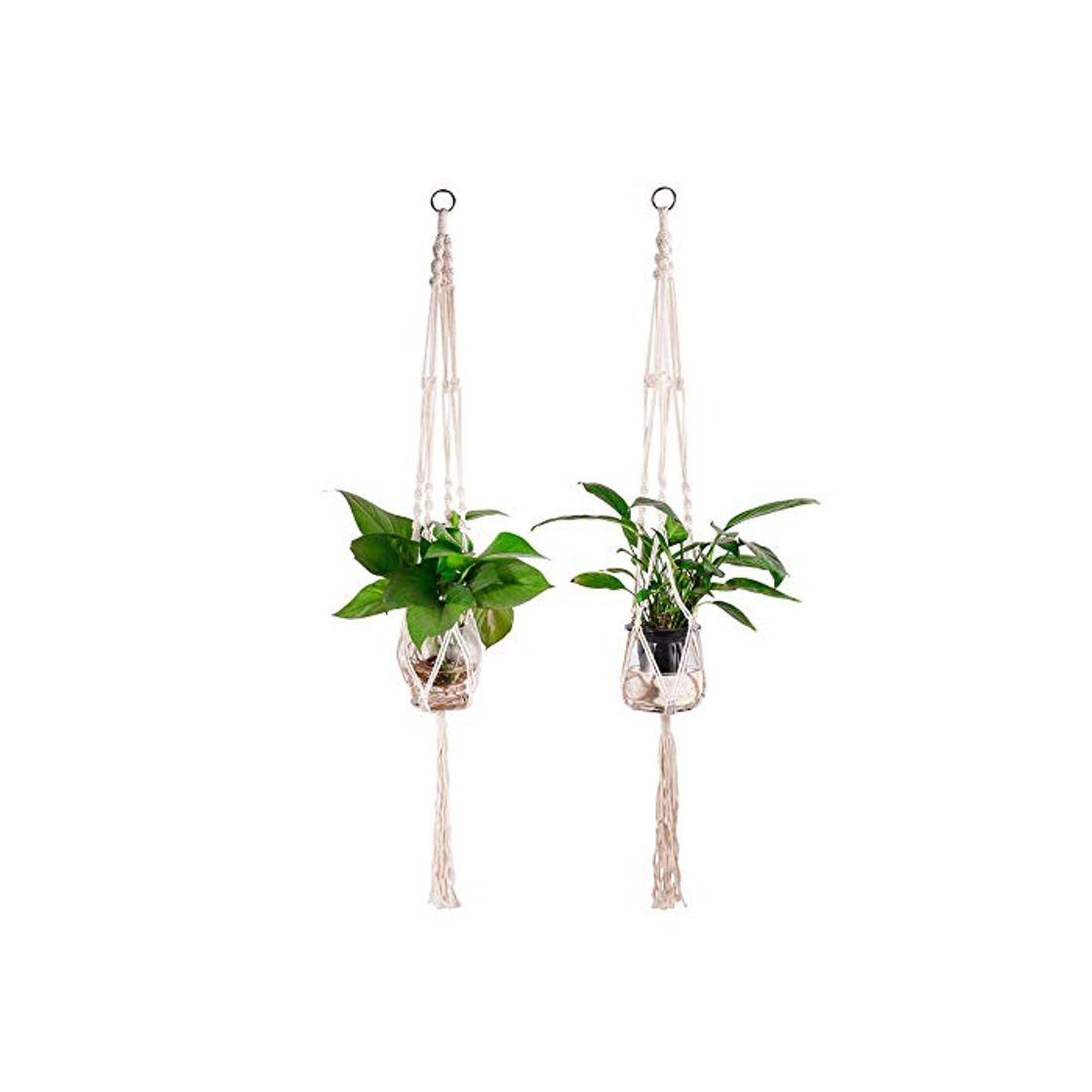 Producto Colmanda Macramé Planta