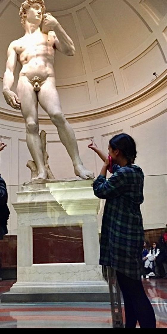 Place Galleria dell'Accademia