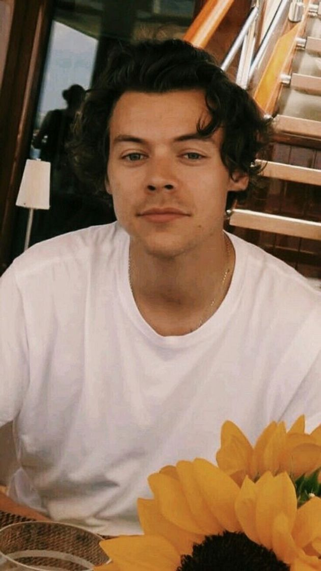 Moda Harry🖤