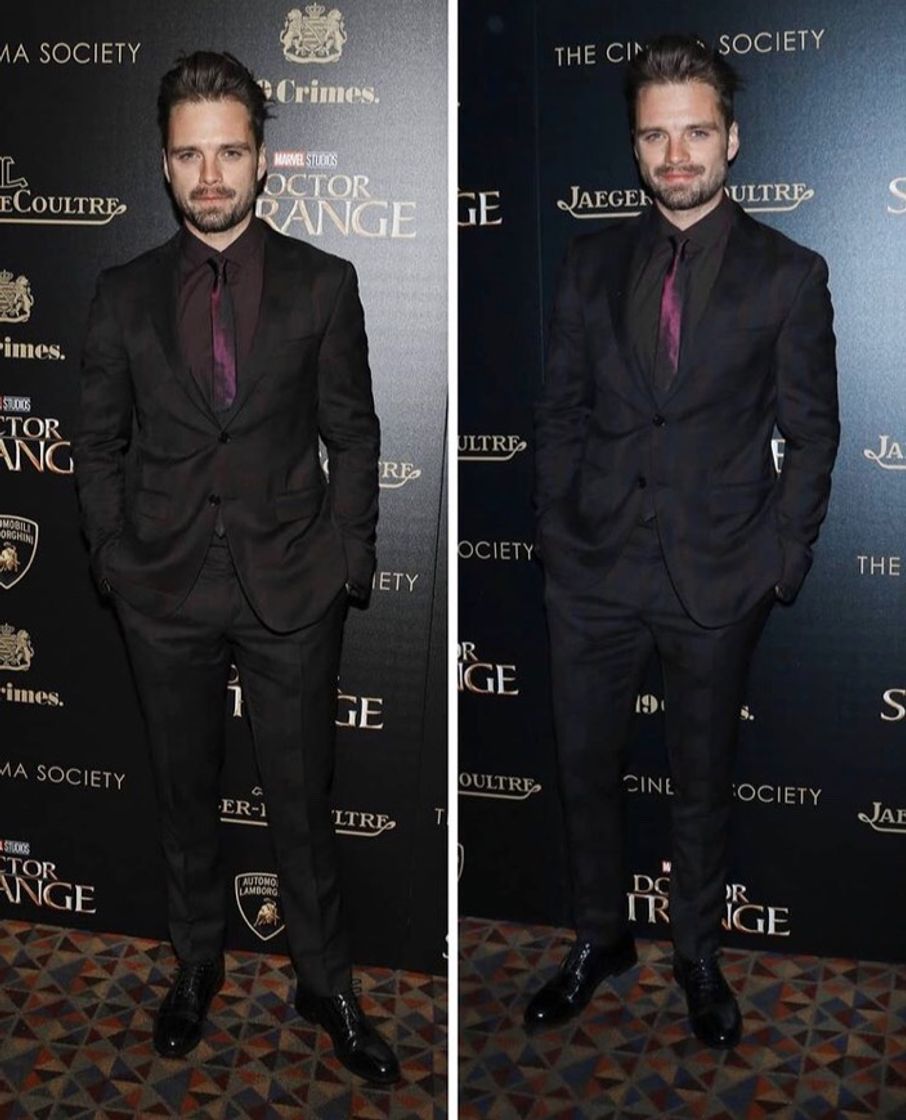 Moda Sebastian Stan 