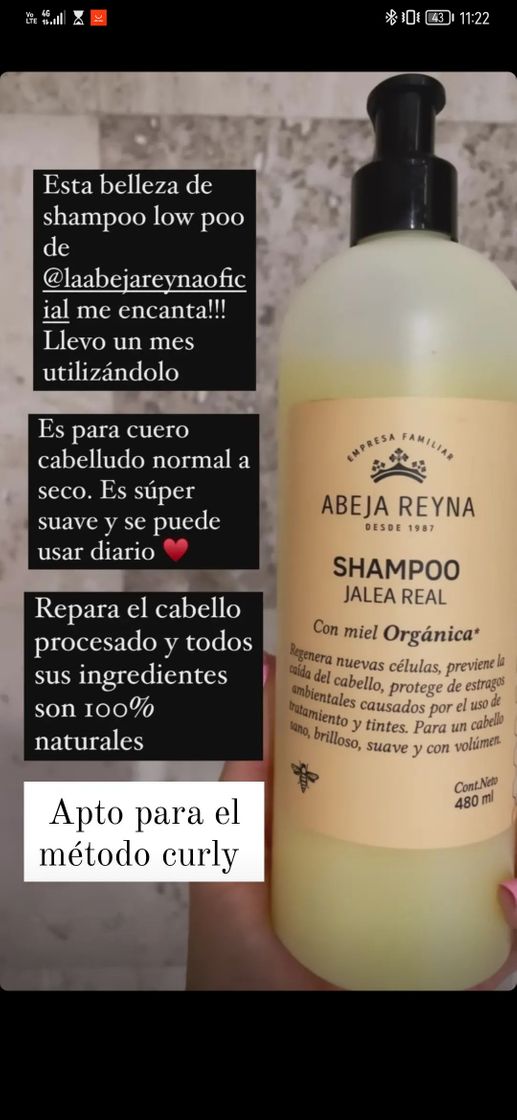 Social Shampoo abeja reyna 