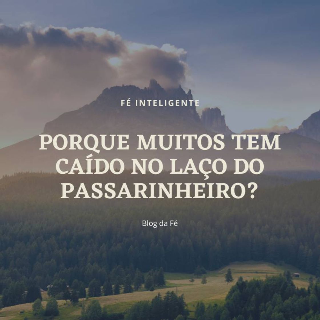 Social PORQUE MUITOS TEM CAÍDO NO LAÇO DO PASSARINHEIRO?