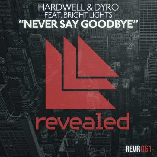 Never Say Goodbye - Radio Edit