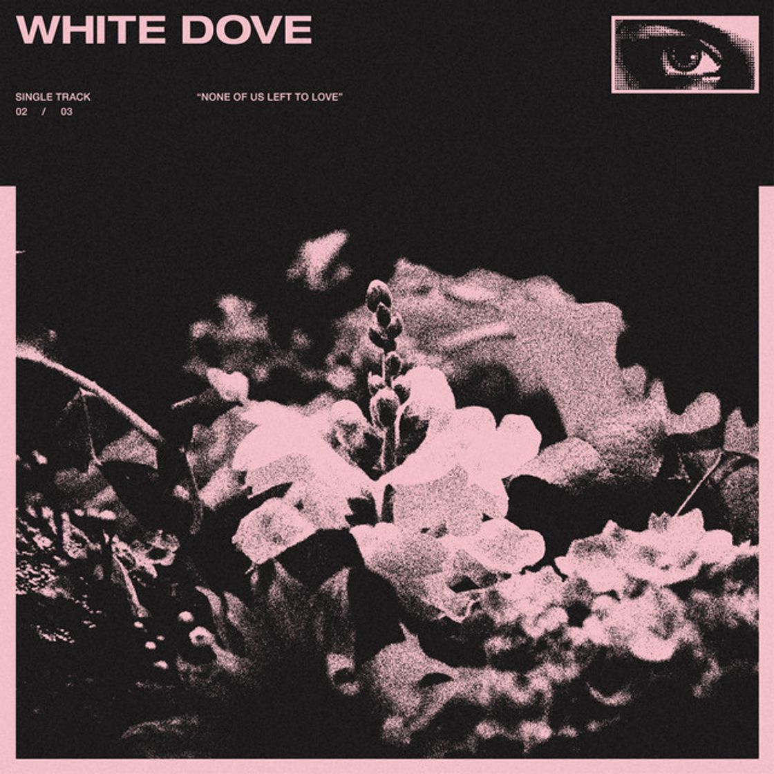 Music white dove