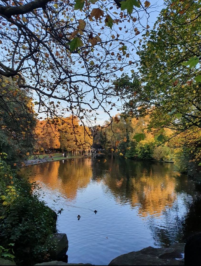 Lugar St. Stephen's Green
