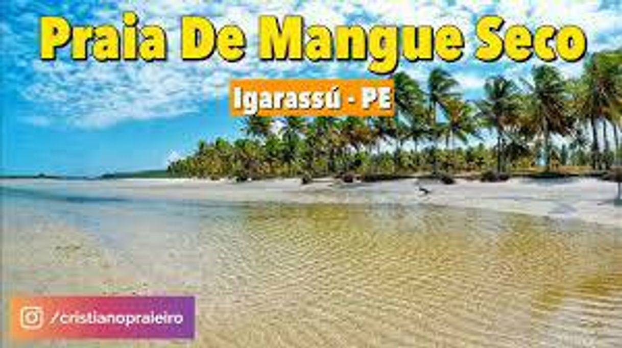 Moda Praia de mangue seco-Igarassu 