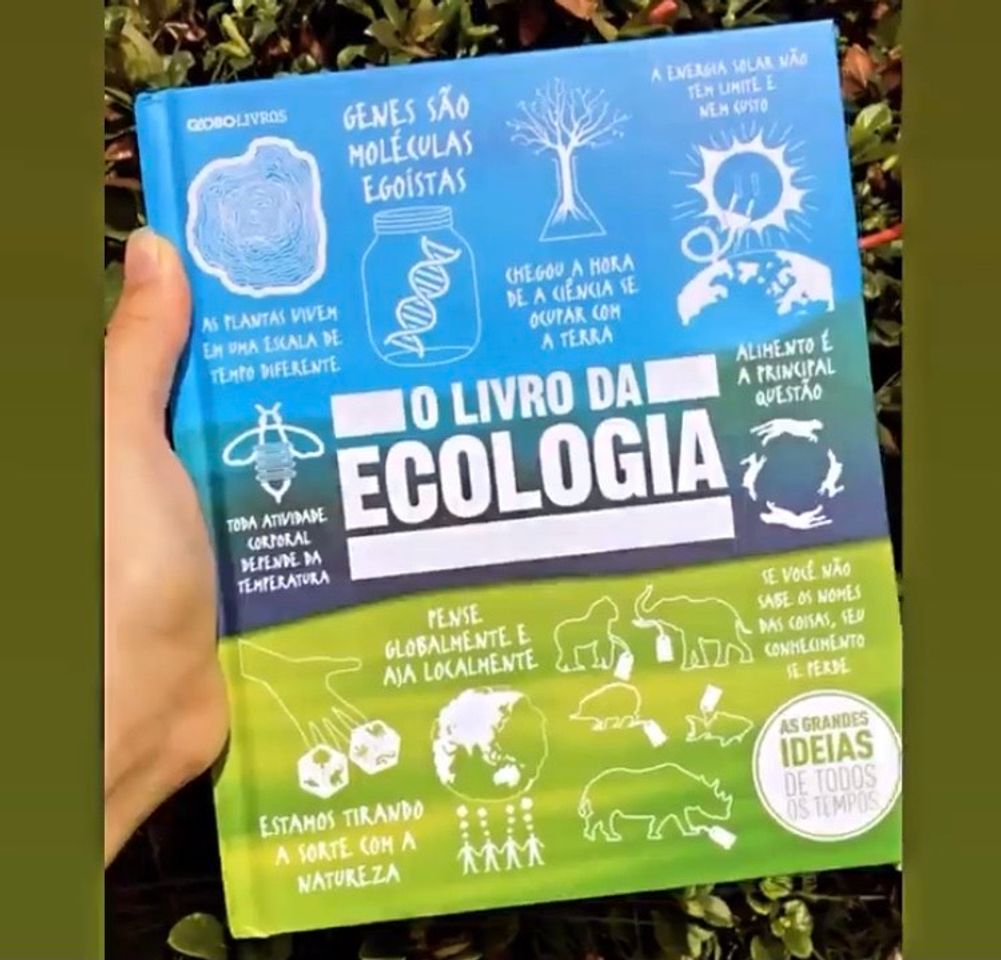 Libros O Livro da Ecologia