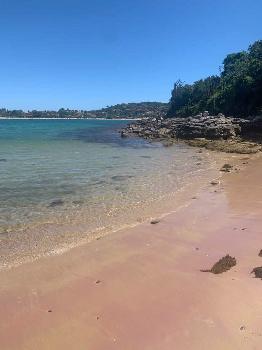 Lugar Praia da Ferradura