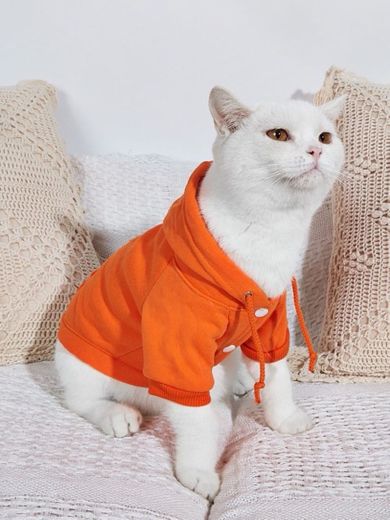 Jaqueta de gato