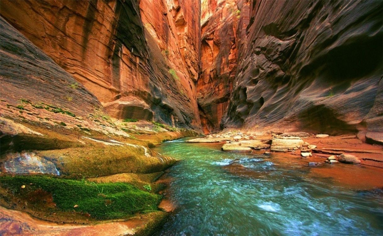 Lugares Zion National Park