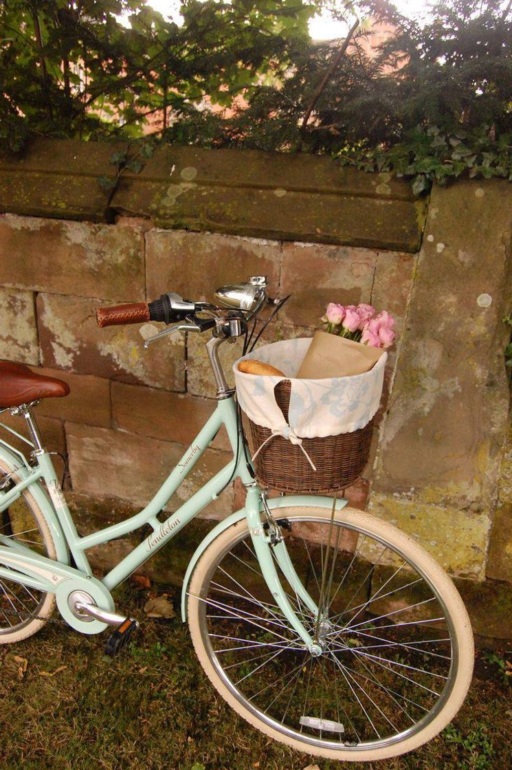 Fashion Bike vintage