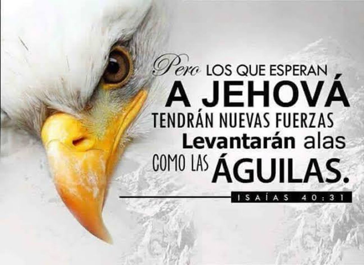 Social Isaías 