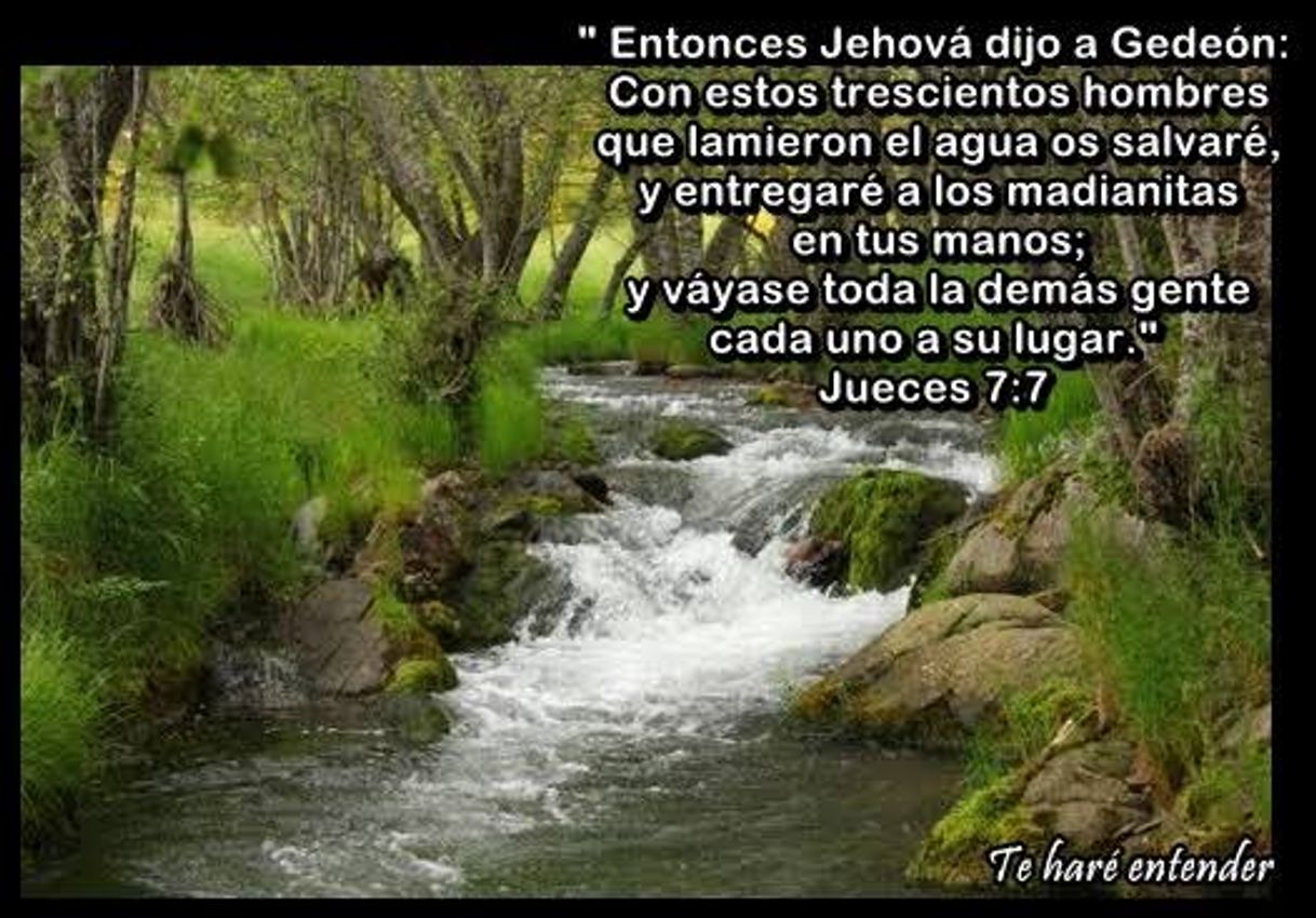 Social Jueces 7:7