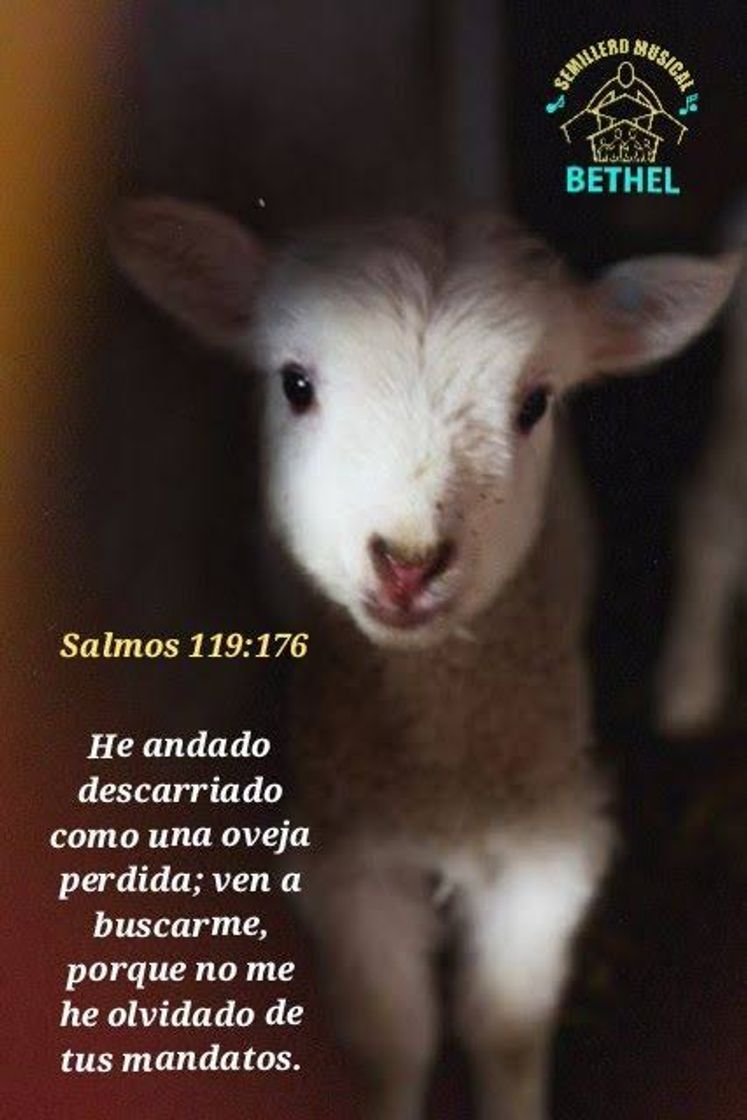 Social Salmos 119:176