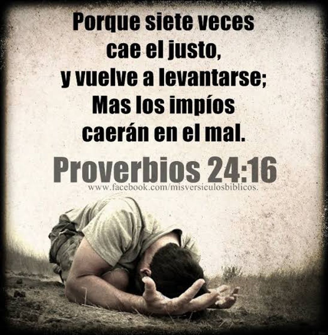 Social Proverbios 24:16