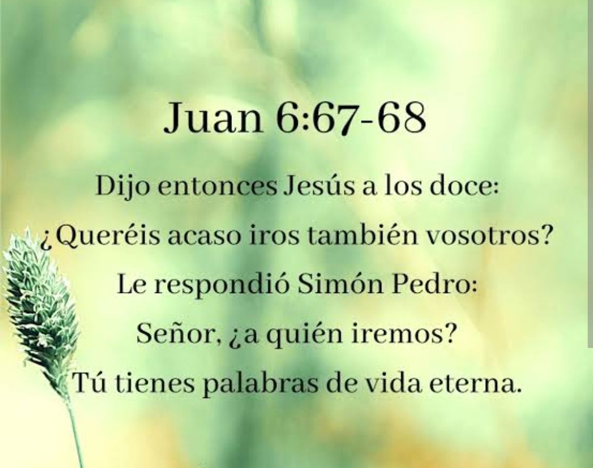 Moda Juan 6:67-68