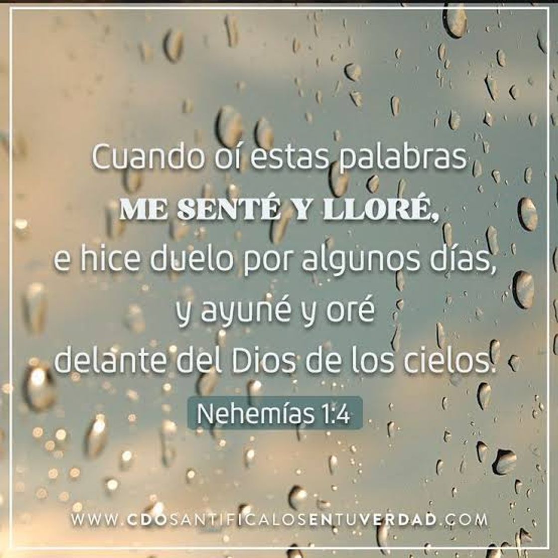 Social Nehemías 1:4