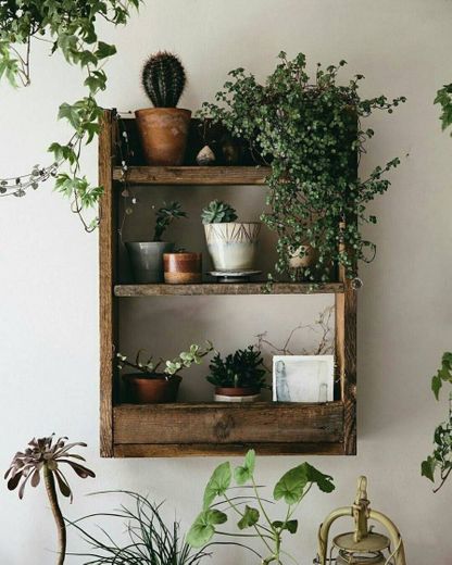 Ideias de jarros e plantas. 🌱🌿