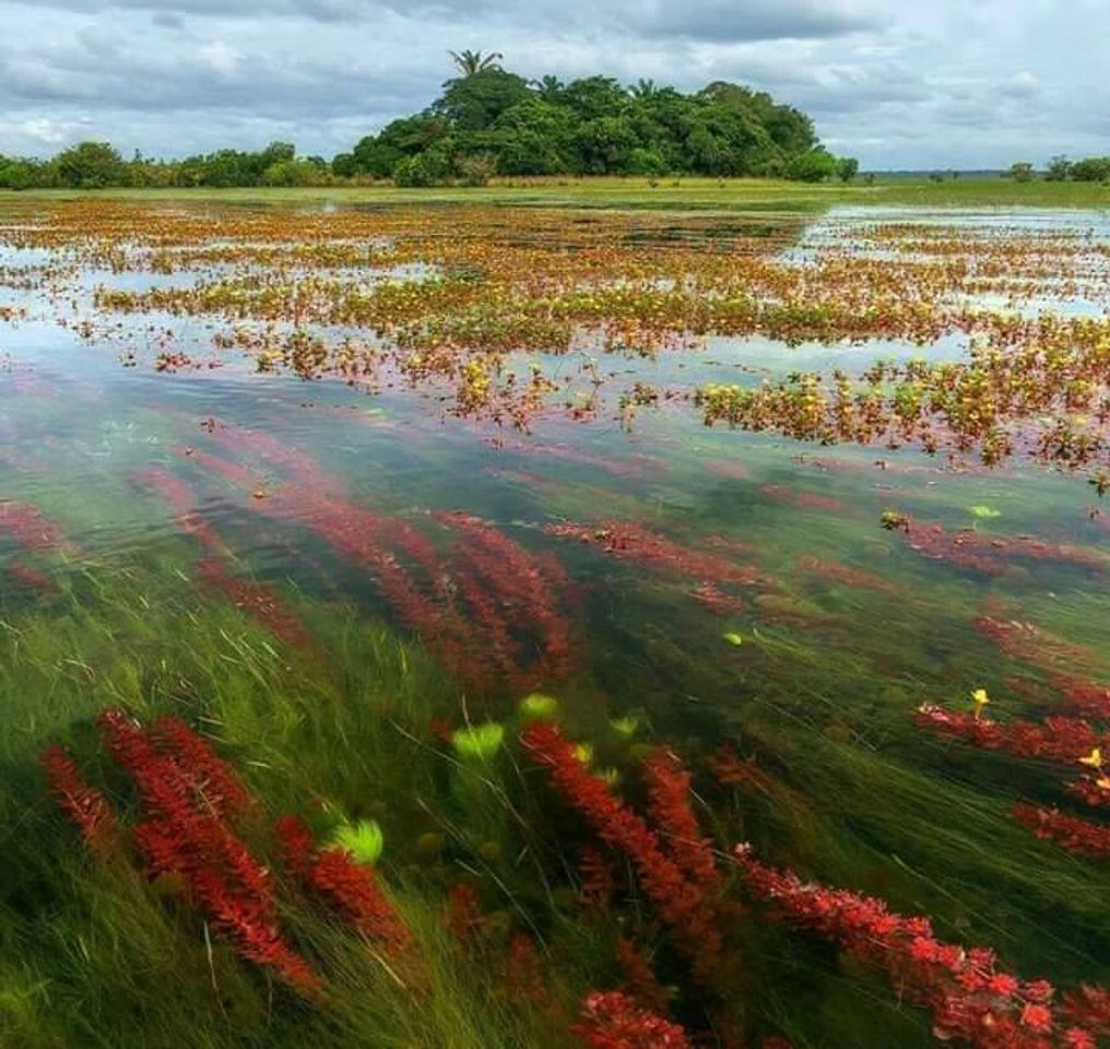 Lugar Cravo Norte