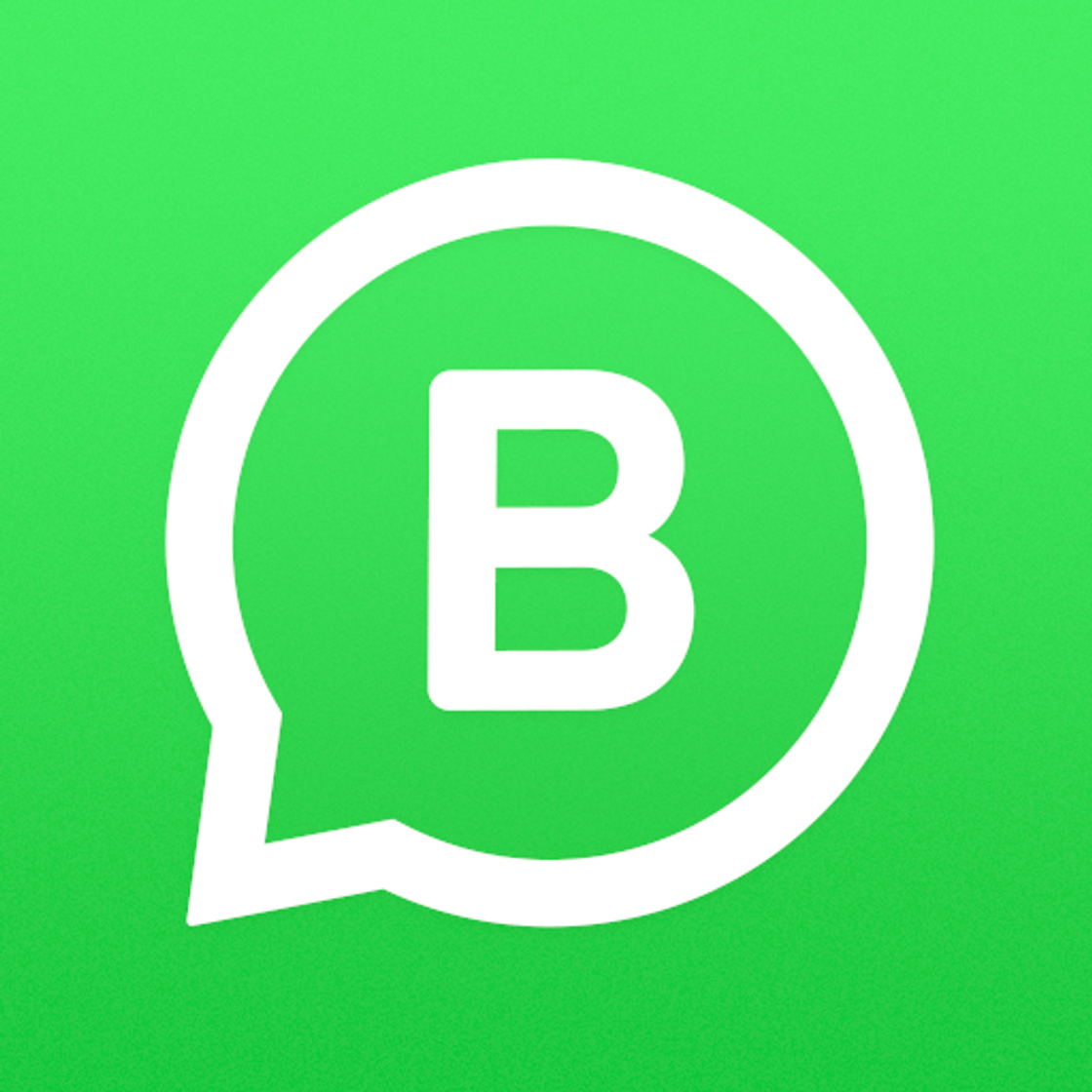 App WhatsApp Business