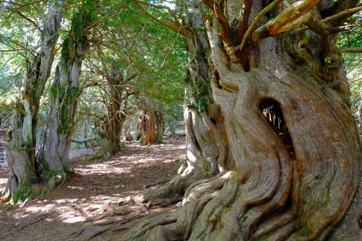 Place Mirador de la Tejeda de Tosande