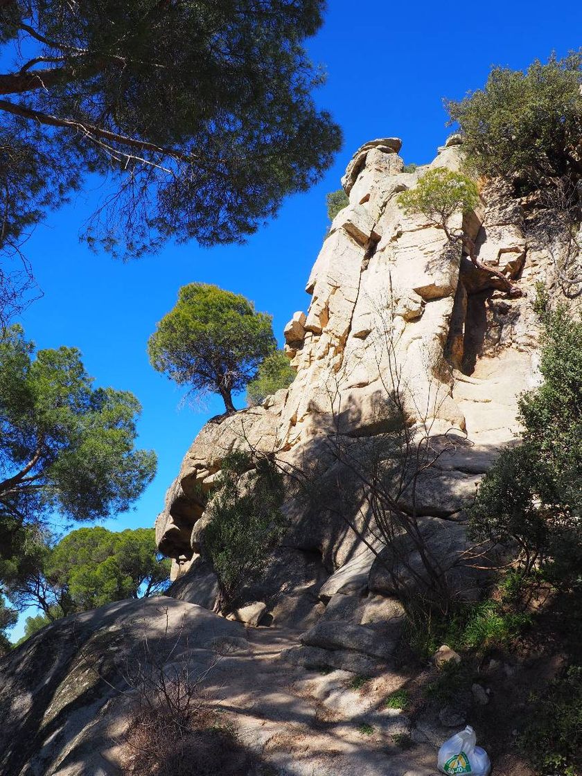 Place San Martín de Valdeiglesias