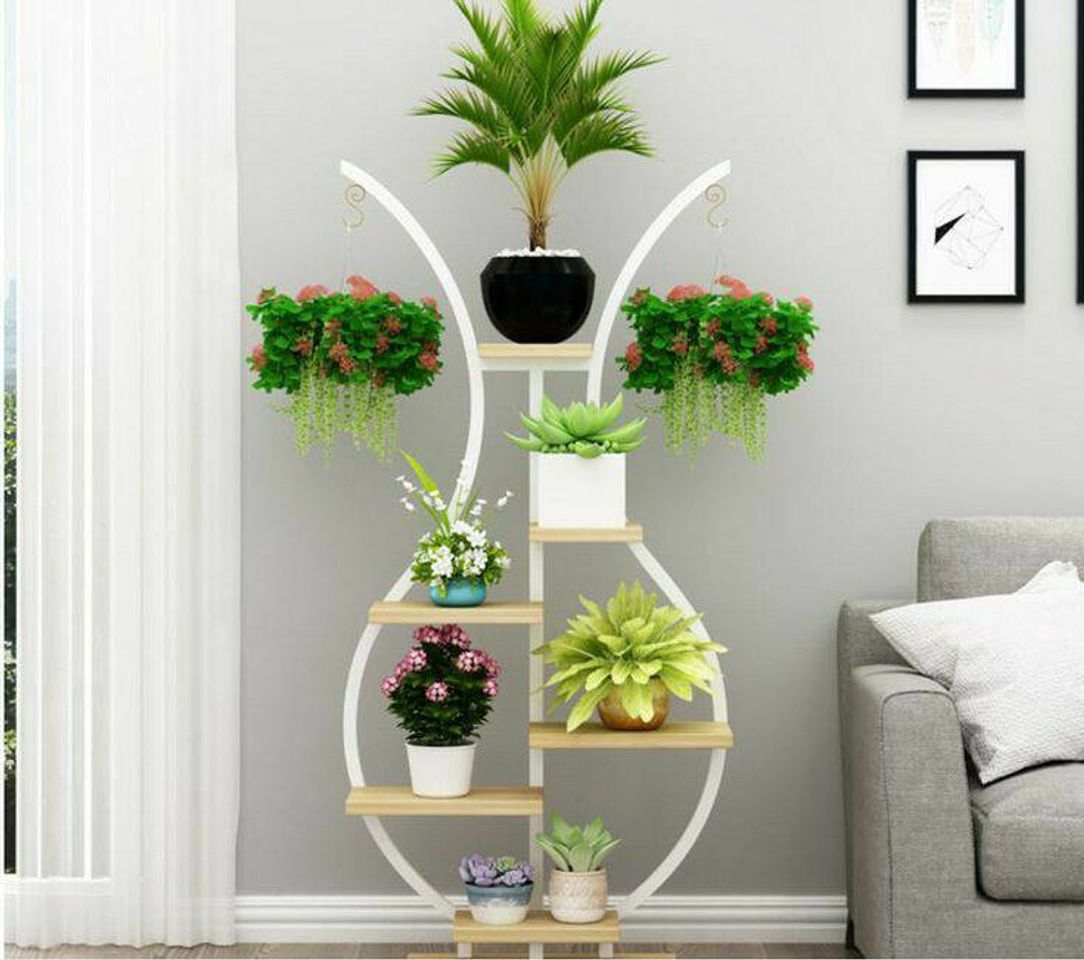 Fashion Plantas que decoram