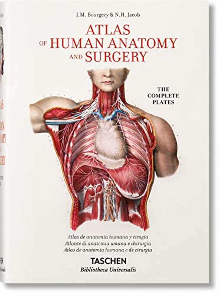 Libros Bourgery. Atlas De Anatomía Humana Y Cirugía