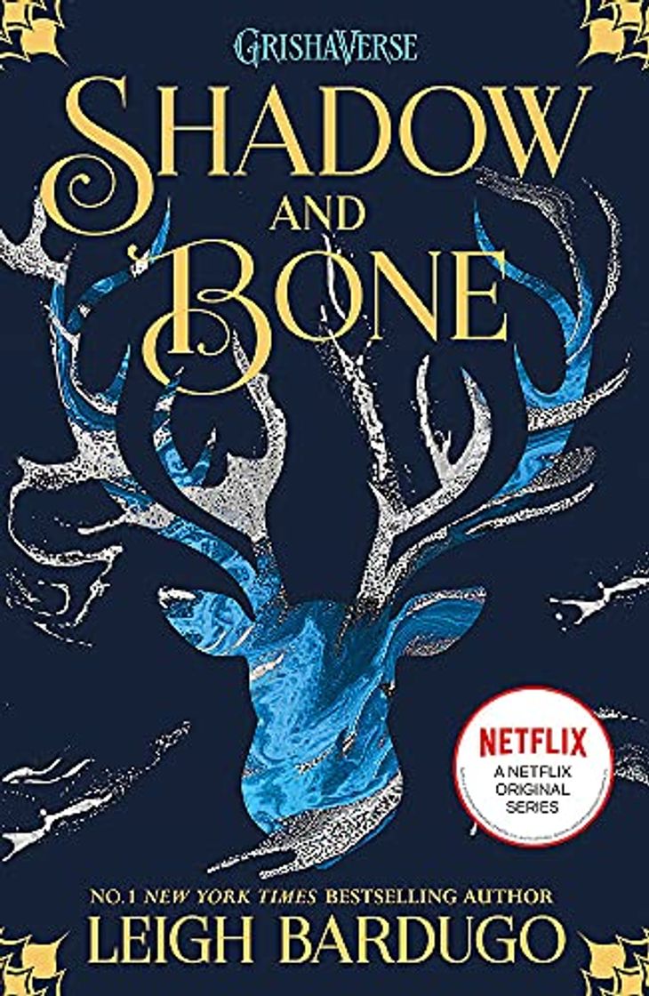 Book Shadow And Bone 1: Soon to be a major Netflix show