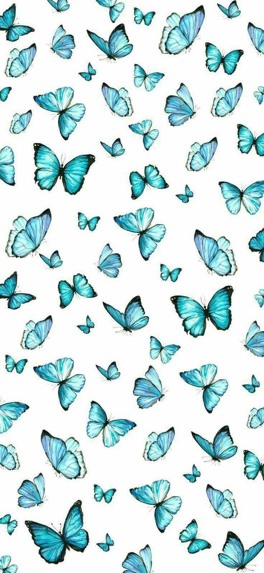 Moda Tela de fundo🦋