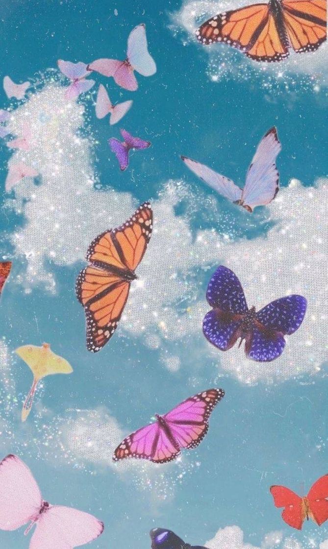 Social Wallpaper butterfly