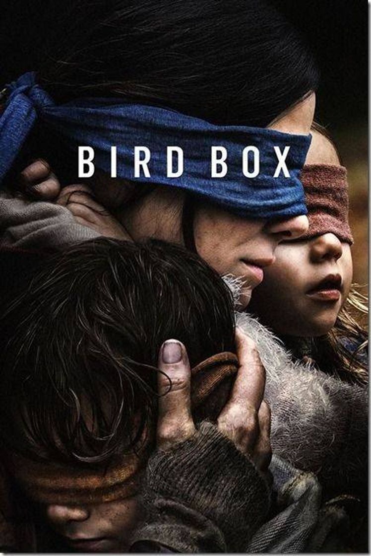 Moda BIRD BOX 📽️💜✨