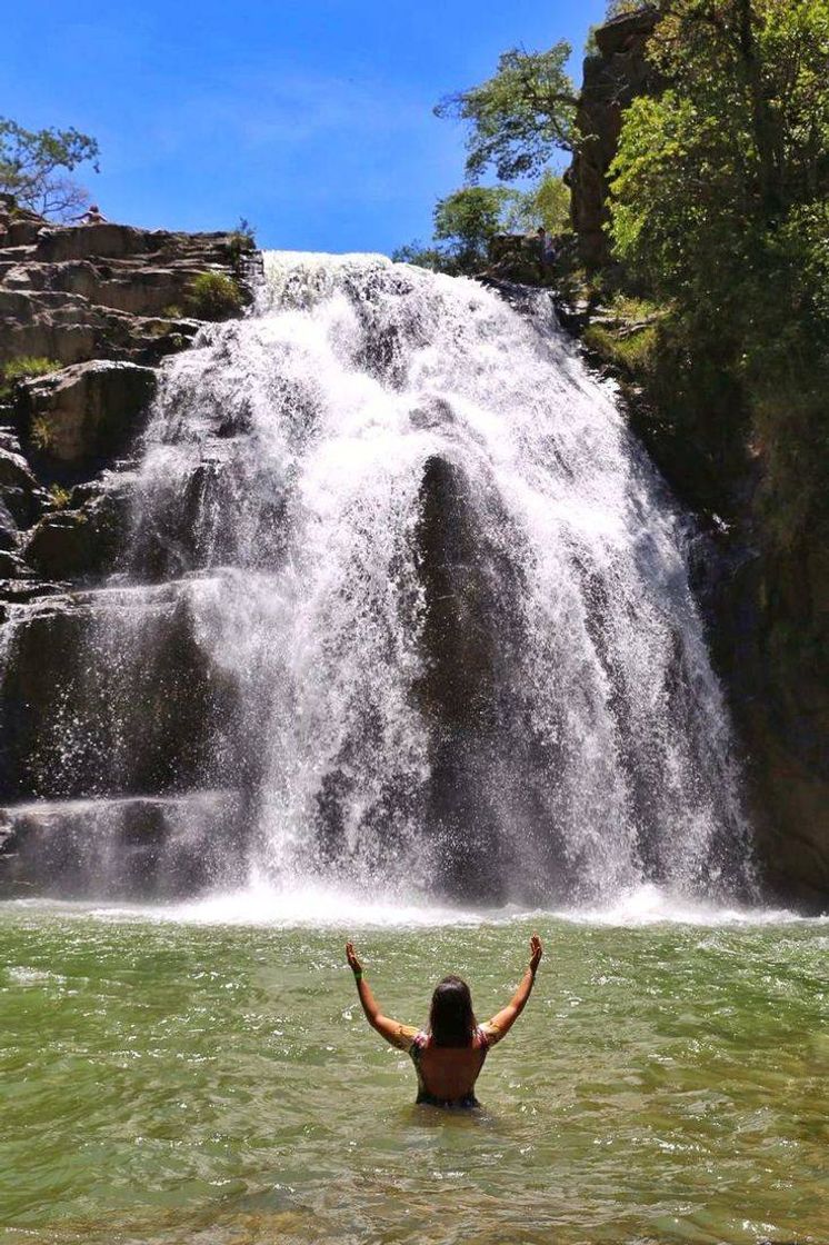 Moda Cachoeira lobo 