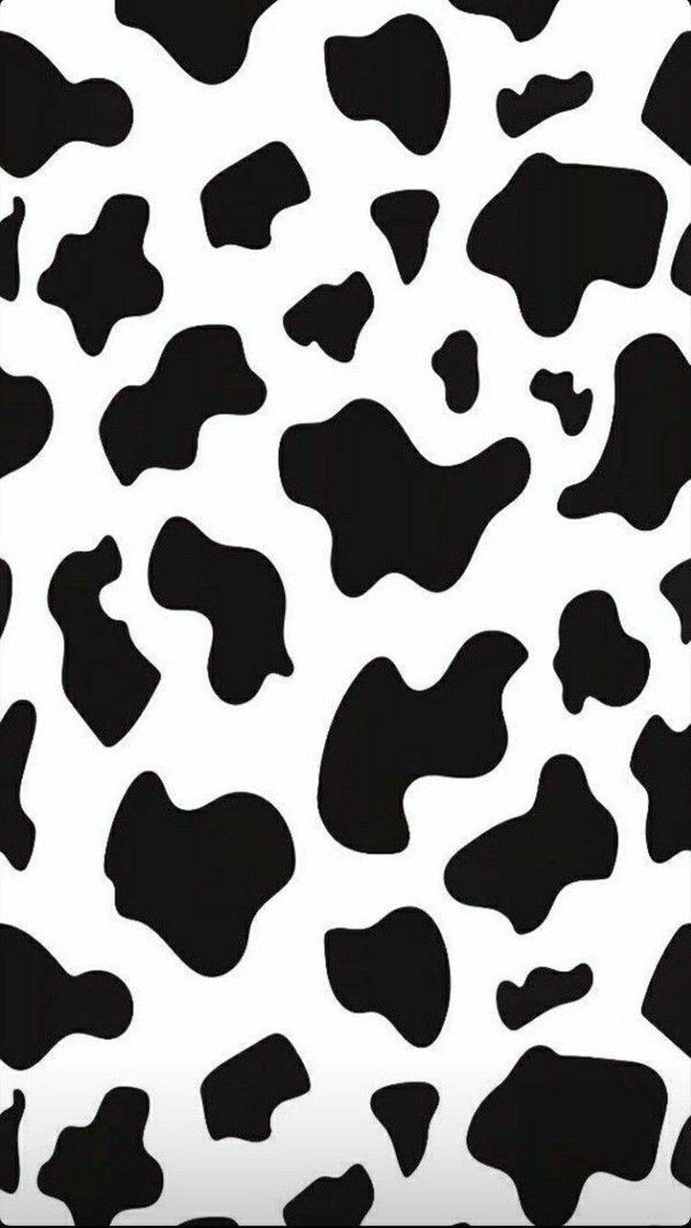 Fashion Cow 🐄❤