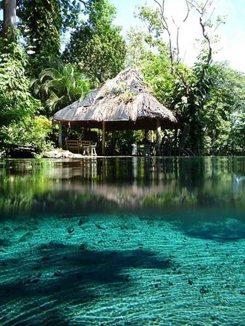 Restaurantes Ojo de Agua